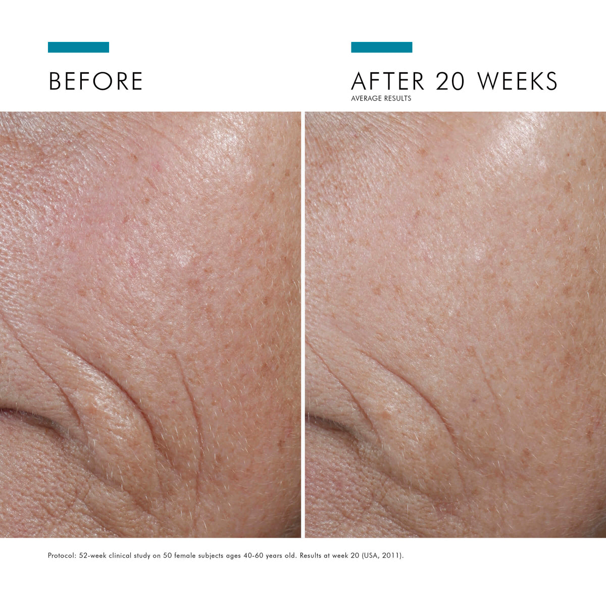 C E FERULIC